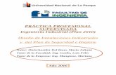 PRÁCTICA PROFESIONAL SUPERVISADA Ingeniería Industrial ...