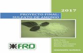 PROYECTO FINAL: SULFATO DE AMONIO - UTN - RIA
