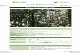Ficha Técnica de Estado de Conservación
