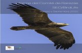Informe del Comité de Rarezas SEO/BirdLife