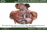 Programa del Curso de Regularización de Anatomía Humana