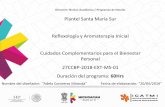 Plantel Santa María Sur Reflexología y Aromaterapia ...
