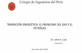 Colegio de Ingenieros del Perú - csd-institute.org