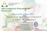 XIII Congreso Peruano de Nutrición