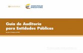 Guía de Auditoría para Entidades Públicas
