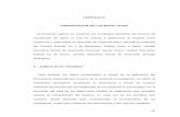 CAPITULO IV PRESENTACIÓN DE LOS RESULTADOS