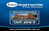 Bioanatomía - Paulo Escobedo - Plataforma virtual ...