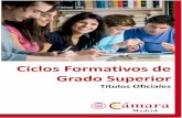 Ciclos Formativos de Grado Superior - Cámara de Madrid