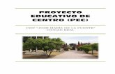 PROYECTO EDUCATIVO DE CENTRO (PEC)