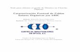 Caracterización Puntual de Celdas Solares Orgánicas por LBIC