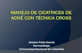 Jimena Peña García Dermatóloga Universidad Nacional de ...
