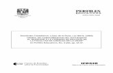 PEERRFFIILLEESS - IISUE-UNAM-Instituto de Investigaciones ...