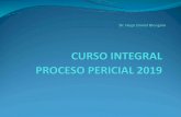 CURSO INTEGRAL PROCESO PERICIAL 2019