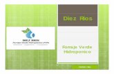 s. 80a forraje verde hidroponico Diez Rios 3
