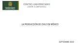 LA PRODUCCIÓN DE CHILE EN MÉXICO - RI UAEMex