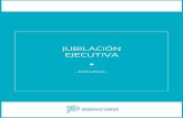 Jubilacion ejecutiva Usuario - Provincia de Buenos Aires