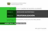 UA: PROYECTO Y DISEÑO DE NUEVAS CIUDADES Unidad 2 ...