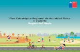 Plan Estratégico Regional de Actividad Física y Deporte ...