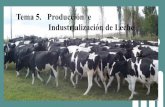 Tema 5. Producción e Industrialización de Leche
