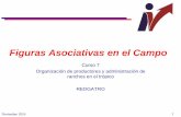 Figuras Asociativas en el Campo - UNAM