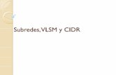 Subredes, VLSM y CIDR