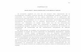 CAPÍTULO IV ANÁLISIS Y DISCUSIÓN DE LOS RESULTADOS
