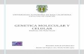 GENETICA MOLECULAR Y CELULAR - Facultad de Ciencias