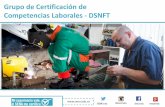 Grupo de Certificación de Competencias Laborales -DSNFT