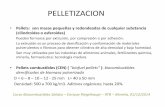 PELLETIZACION - REMBIO