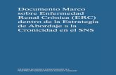 Documento Marco sobre Enfermedad Renal Crónica (ERC ...