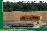 Por las ramas - Revista Forestal