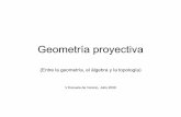 Geometría proyectiva - UNAM