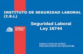 Seguridad Laboral Ley 16744 - doh.cl