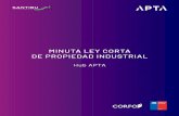 MINUTA LEY CORTA DE PROPIEDAD INDUSTRIAL