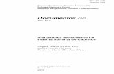 DOC 88 - Marcadores moleculares - Embrapa