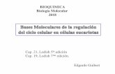 BIOQUIMICA Biología Molecular 2018