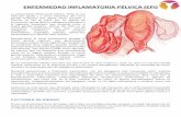 ENFERMEDAD INFLAMATORIA PÉLVICA (EPI)