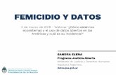 FEMICIDIO Y DATOS - OAS