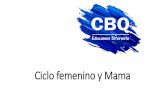 Ciclo femenino y Mama - Instituto CBQ