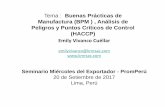 Tema : Buenas Prácticas de Manufactura (BPM ) , Análisis ...