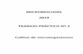 MICROBIOLOGÍA 2019 TRABAJO PRÁCTICO Nº 2 Cultivo de ...
