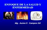 Mg. Aureo F. Campos Gil - Inicio | SIAL Trujillo