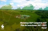Workshop E&P Campetrol-ACP Plan de inversiones 2021 …