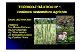 TEÓRICO-PRÁCTICO Nº 1 Botánica Sistemática Agrícola