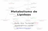 Metabolismo de Lipídeos - edisciplinas.usp.br