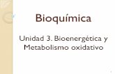 Unidad 3. Bioenergética y Metabolismo oxidativo