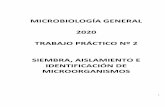 SIEMBRA Y AISLAMIENTO DE MICROORGANISMOS