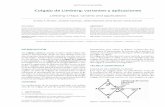 Colgajo de Limberg: variantes y aplicaciones