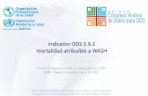 Indicador ODS 3.9 - DANE