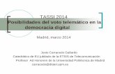 Posibilidades del voto telemático en la democracia digital